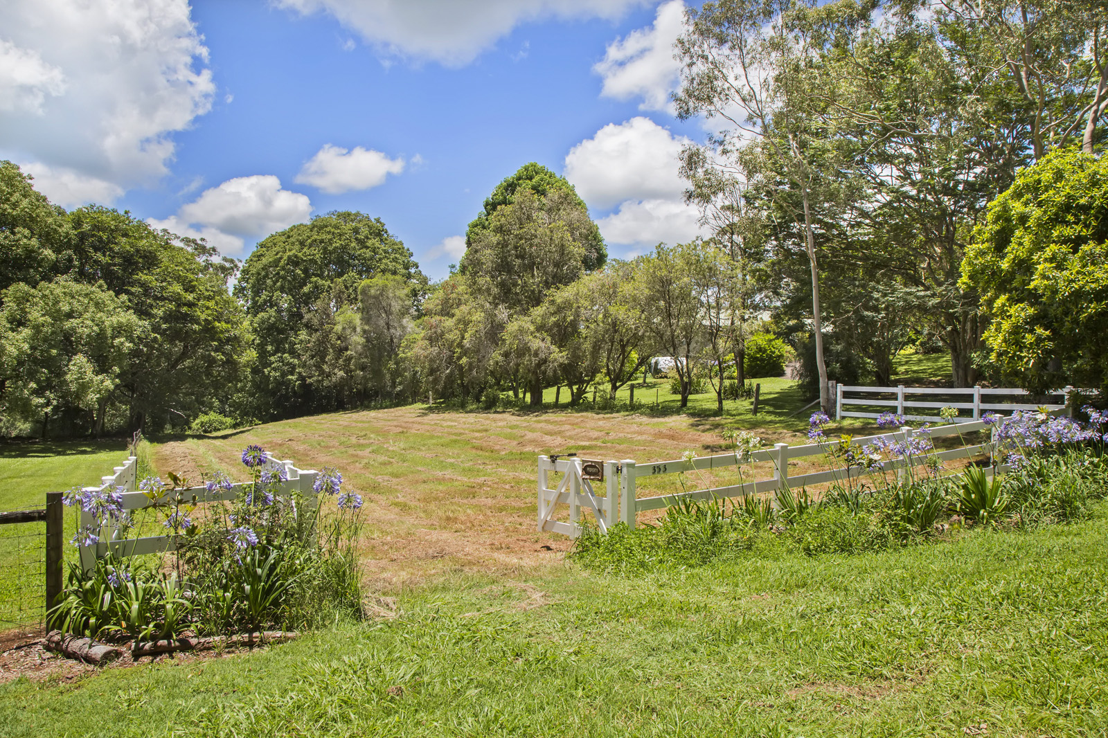 353 Western Avenue, MONTVILLE QLD 4560 Roger Loughnan Real Estate