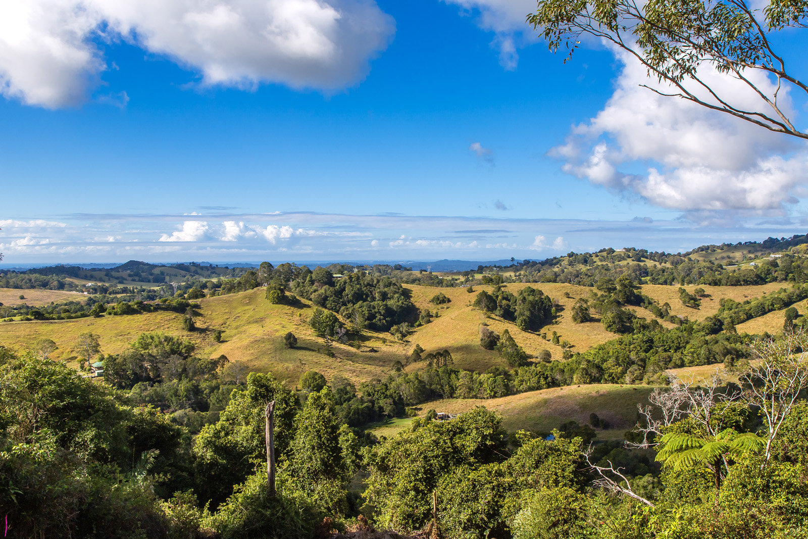 6 Falcon Court, MAPLETON QLD 4560 Roger Loughnan Real Estate